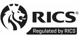 RICS Logo for Snagging